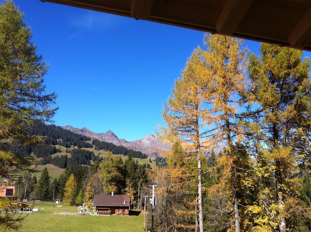 Bunderbach Villa Adelboden Exterior photo