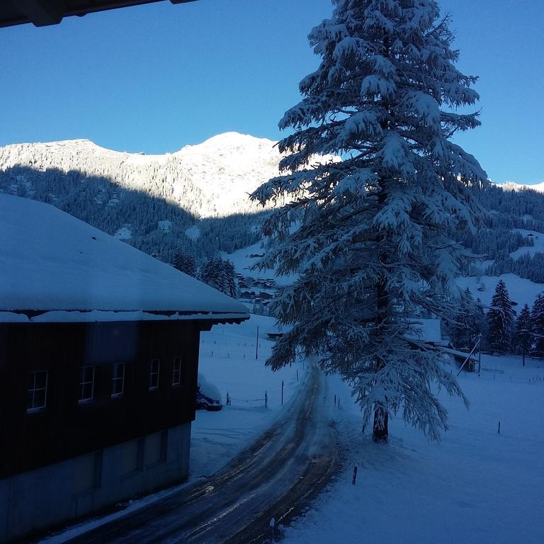 Bunderbach Villa Adelboden Exterior photo